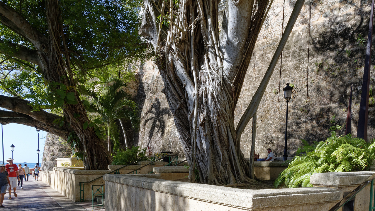 20170205 155011•San Juan•San Juan•Puerto Rico